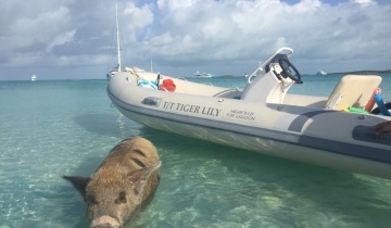 Sailboat LAGOON 620 - Boat picture